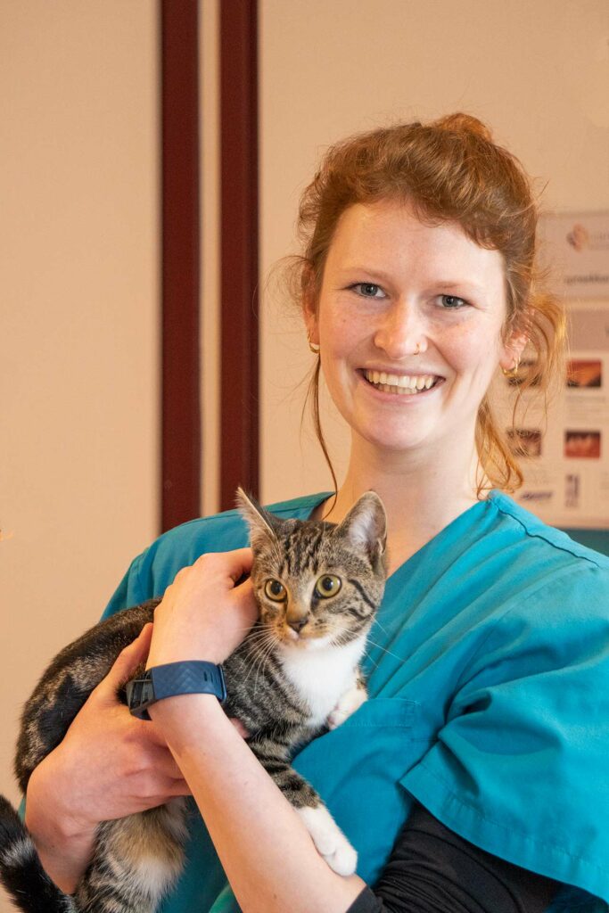 Lisa Haarlem