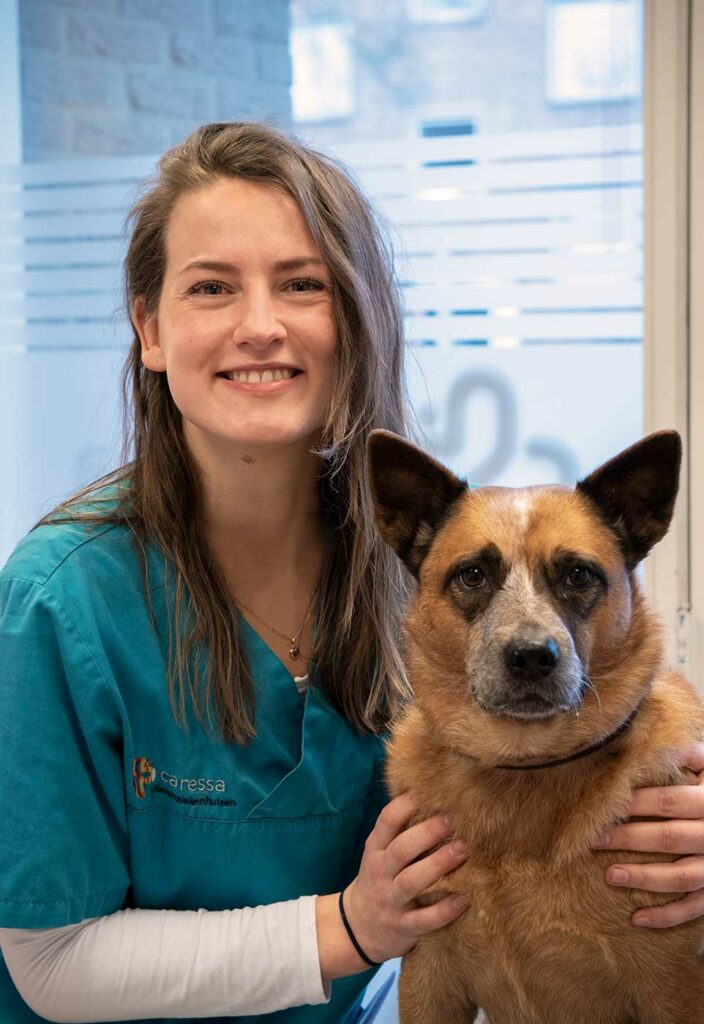 Caressa Haarlem Maxime