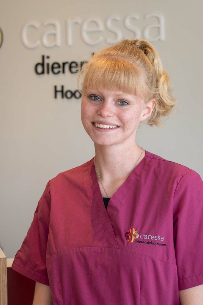 Haarlem Evelien